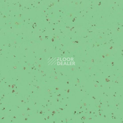 Линолеум Gerflor Taralay Premium Indiana 4526 Lasia фото 1 | FLOORDEALER